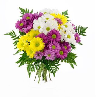 Bouquet de 5 margaritas