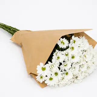 Bouquet de Margaritas