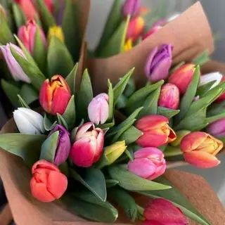 Paquete de 15 tulipanes