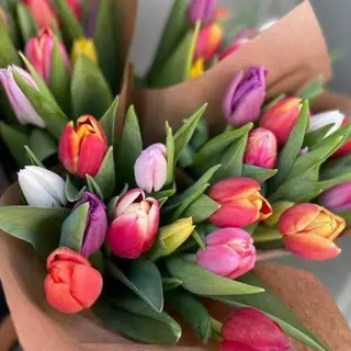 Paquete de 8 tulipanes