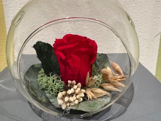 Bola de cristal con rosa eterna