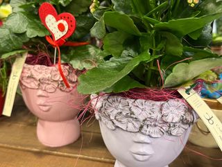 Cabeza macetero con planta