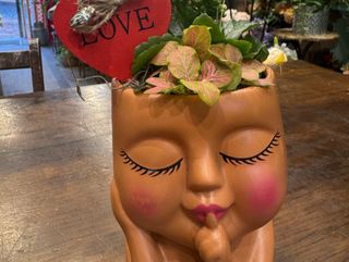 Cabeza macetero con plantas decorativas naturales