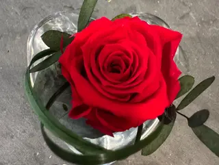 Corazón con rosa eterna