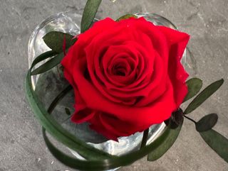 Corazón con rosa eterna