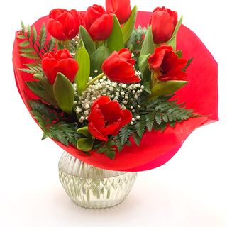 TULIPANES PUEDEN SER VARIADOS