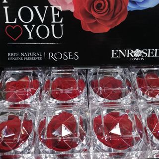 Rosa Roja Preservada Perfumada