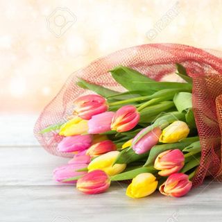TULIPANES MIXTOS