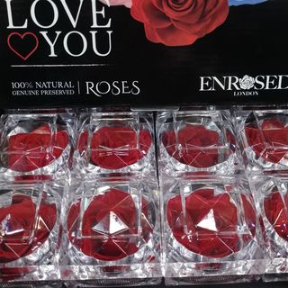 Rosa Preservada Perfumada