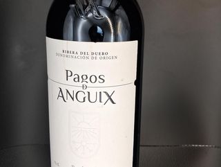 PAGOS D´ANGUIX COSTALARA