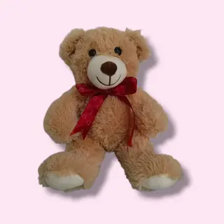 Oso de Peluche