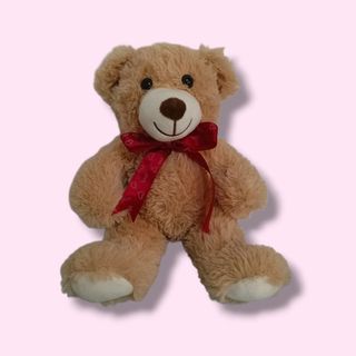Oso de Peluche