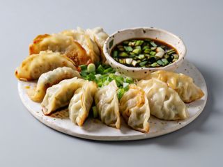 Gyoza variado 16u
