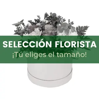 KERNEL - Centro Del Florista