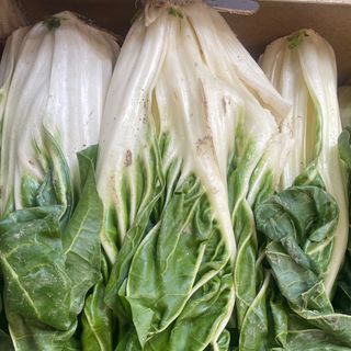 Acelga Mata ( 1Kg. Aprox.)