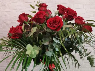 Docena Rosas Rojas