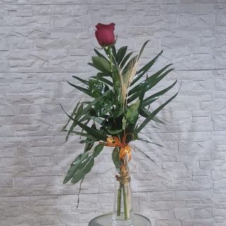 ROSA DE  SAN JORDI CON VIOLETERO