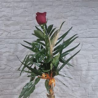 ROSA DE SAN JORDI