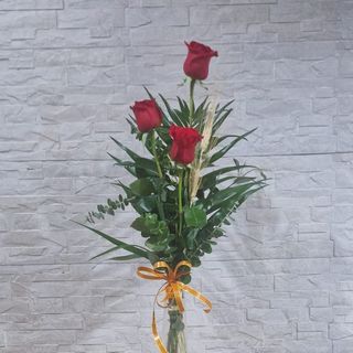 3 ROSAS DE  SAN JORDI