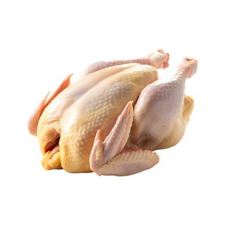 Pollo entero Corral fresco