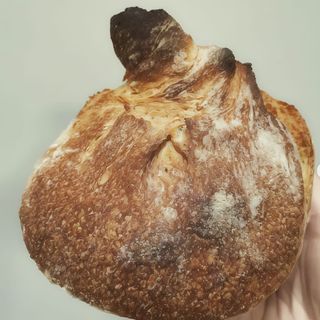 Mollete Gallego (1 Ud.)