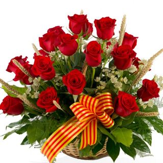 Canasta con 20 rosas rojas