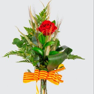 1 Rosa roja mas jarron