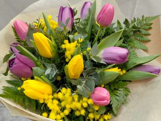 Ramo tupilanes variados