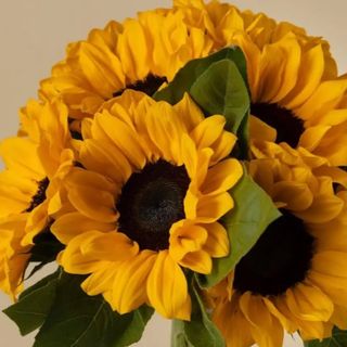 Ramo 8 girasoles
