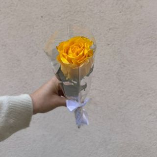 TALLO DE ROSA AMARILLA