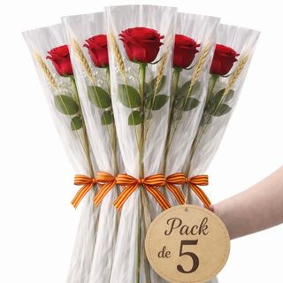 Pack 5 tallos rosas rojas Sant Jordi