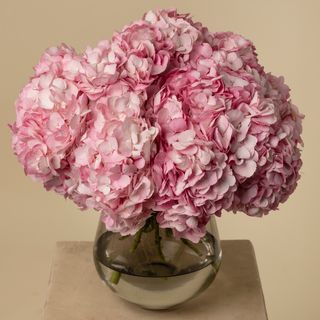 Ramo de 5 hortensias premium rosas