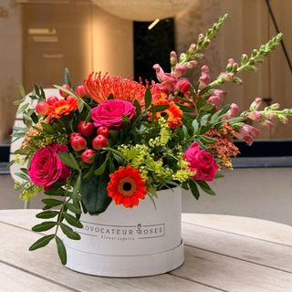 Autumn Colour Box
