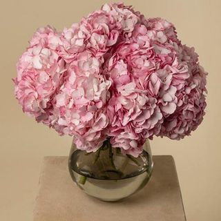 Ramo hortensias Rosa
