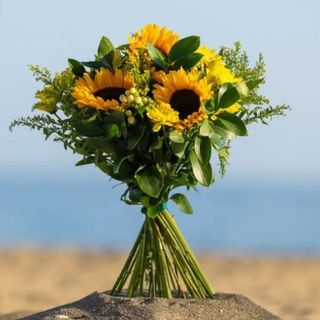 Ramo luz del amanecer