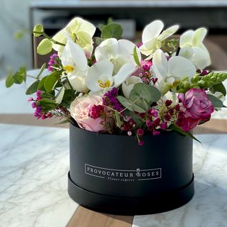 Orquídea fantasy box