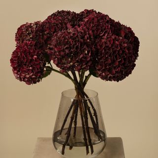 Ramo de 8 Hortensias granate