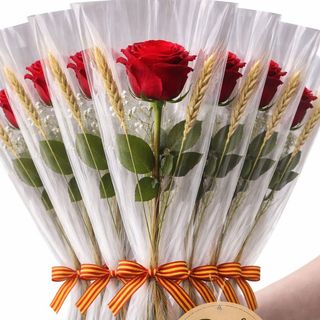 Pack 10 tallos rosas rojas Sant Jordi