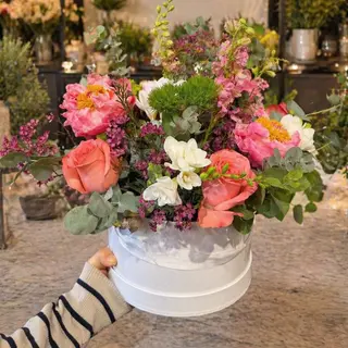 Primavera Box