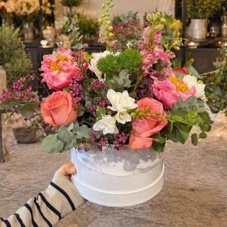 Primavera Box