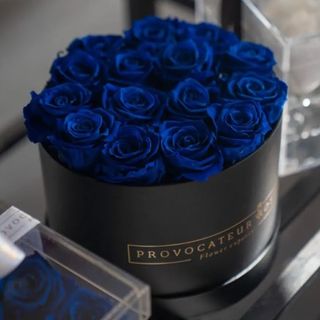 Equestrian Box