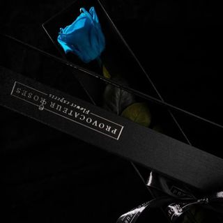 Eternity Blue Rosa