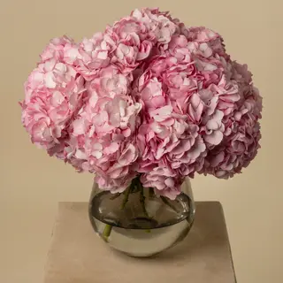 Ramo de 5 Hortesnias premium rosas