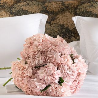 Ramo de 15 Hortesnias jumbo rosas