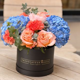 Garden Havest Box