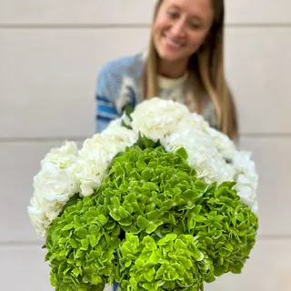 Ramo de hortensia verde y blanca