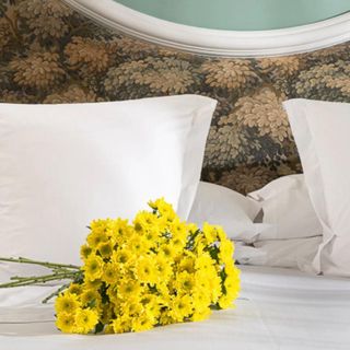 ramo de margaritas amarillas