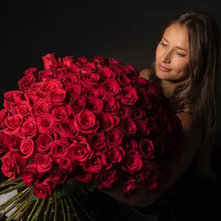 100 luxury roses