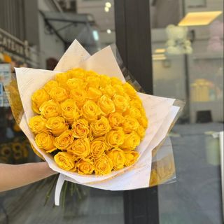 ramo premium exclusivo