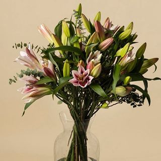 Ramo Liliums variados